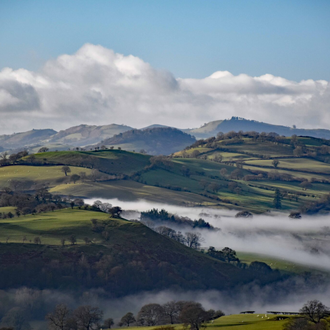 Rolling hills with low clouds and mist hovering over them